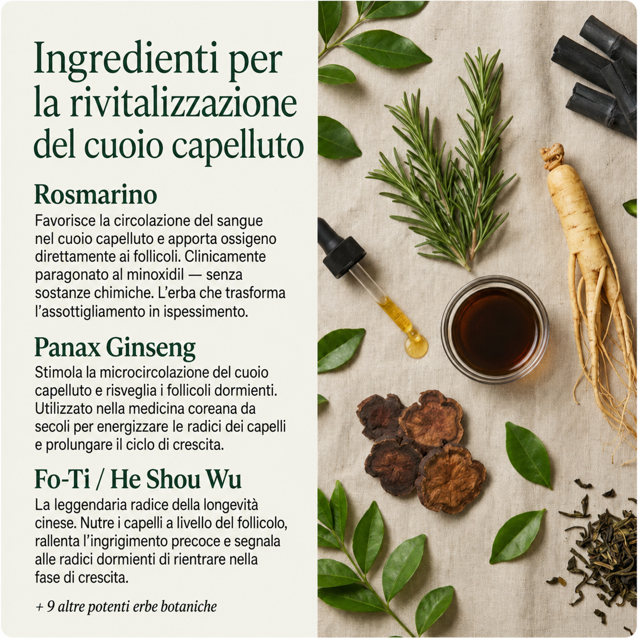 Barra per la cura del cuoio capelluto in stile coreano
